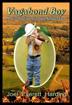【预售】Vagabond Boy: Memoir of a Youth's Jour