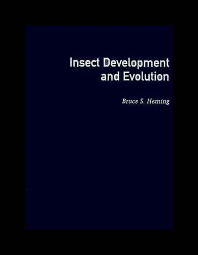 【预售】Insect Development and Evolution