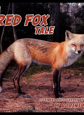 【预售】A Red Fox Tale