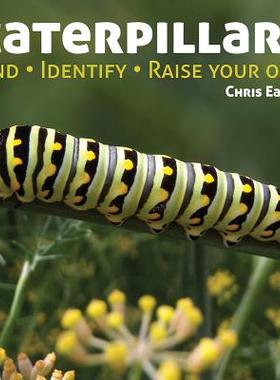 【预售】Caterpillars: Find, Identify, Raise Your Own