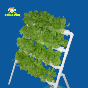阳台种菜管道式设备水耕自动浇灌