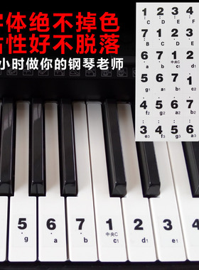 多省包邮61键54键超薄透明 电子琴琴贴数字 简谱贴 键盘贴 键位贴