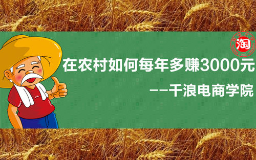 在农村如何每年多赚3000元