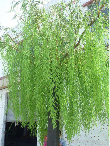 圣缘景观仿真垂柳树  人造垂柳树 室外绿化造景大型垂柳树 批发商