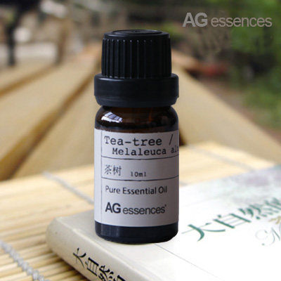 茶树10ml单方精油