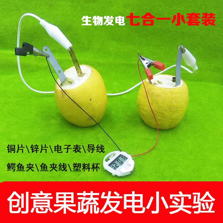 生物质发电机果蔬发电