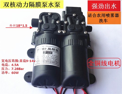 新款大功率电动喷雾器隔膜泵洗车双动力增压泵12V双核水泵压力泵