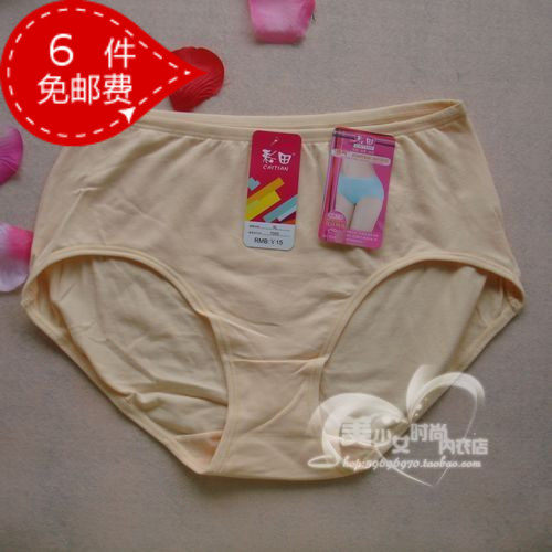 Slip en coton - Ref 642992 Image 1