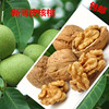 新产薄皮核桃山东枣庄特产山核桃薄皮核桃包邮非新疆云南纸皮核桃