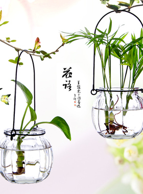 室内悬挂式玻璃吊瓶园艺家居装饰
