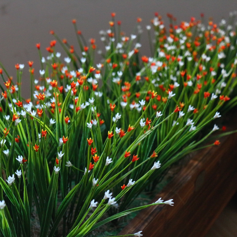 仿真绿植绿草苗花箱户外小草塑料草星星草点点草兰花草满天星星仔