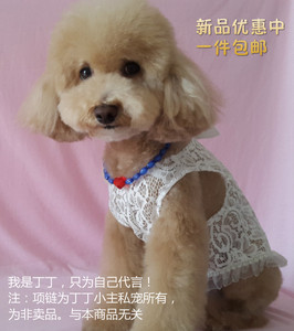 包邮宠物衣服/狗狗衣服春装/泰迪狗狗衣服/狗狗公主裙蕾丝连身裙