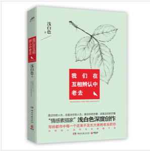 【正版书籍】浅白色言情小说《我们在互相辨认中老去》