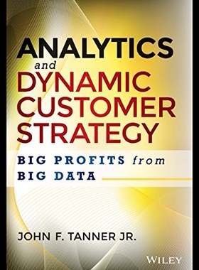 【预售】Analytics and Dynamic Customer Strategy: Big Prof