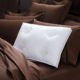 700蓬松度 低过敏白鸭绒 高科技面料 美国拥软 温度调节 羽绒枕