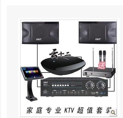 雷石云十二家庭点歌音响系统 HDMI高清家用 KTV卡拉OK点歌机 送麦