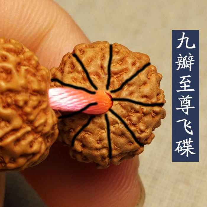 九瓣飞碟桩小金刚菩提子多瓣飞碟桩矮桩爆肉金刚菩提子108佛珠男
