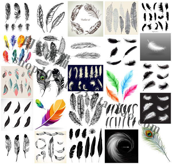 矢量设计素材 动物羽毛图案水墨水彩线稿剪影等多风格 EPS格式25P