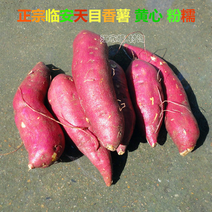 天目山小香薯新鲜临安特产红薯黄心生番薯山芋地瓜甘薯农家直发