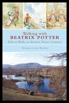 美国库房发货，通常付款后5-8周到货！