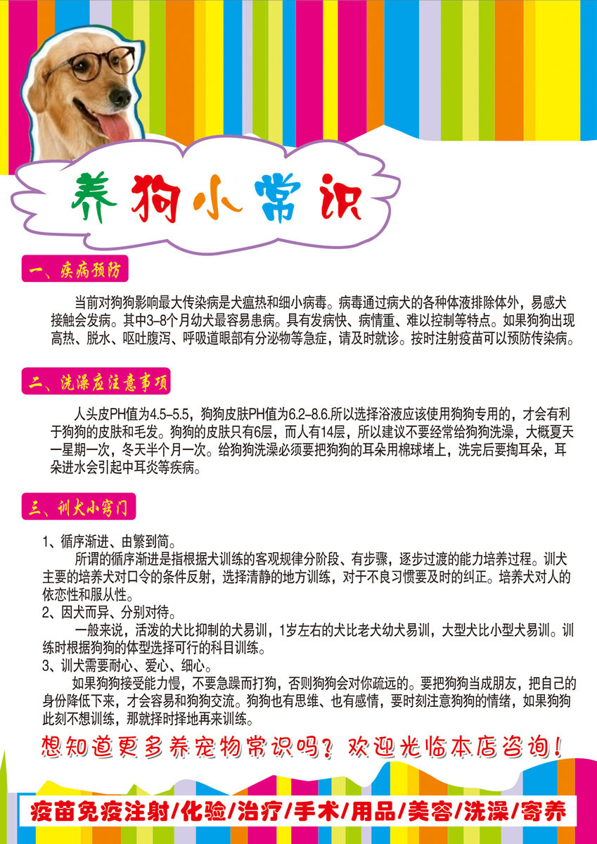 739海报印制展板写真喷绘贴纸277宠物店盛大开业dm宣传单(1)