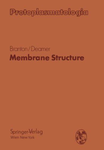 【预订】Membrane Structure