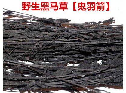 中药材 黑马草 鬼羽箭  250克包邮