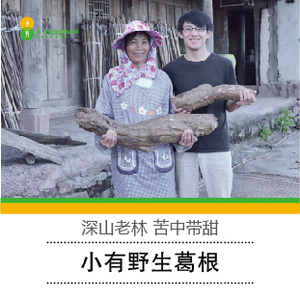 云南柴葛根片解酒千杯不醉纯天然正品柴葛根茶泡水非葛根粉500g