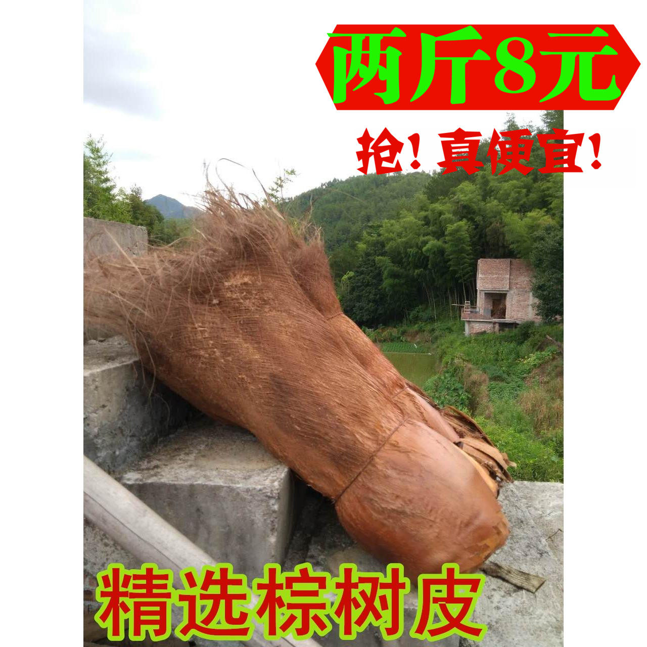 棕皮棕榈皮绿萝棒专用棕树皮干棕片复古装饰棕衣棕毛棕丝专抽