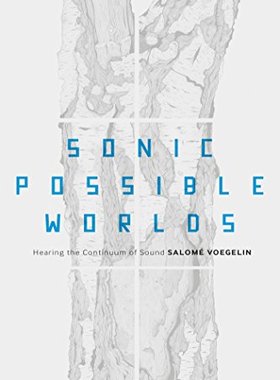 【预售】Sonic Possible Worlds