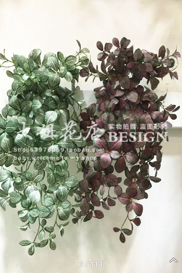 仿真网纹叶藤常春藤植物墙配材高档绿色植物壁挂仿真藤蔓叶子绿萝