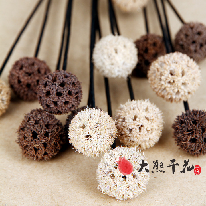 人气路路通天然艺术装饰干花包客厅卧室桌面植物艺插花摆设家居,家居饰品,干花/花瓣/干花包/干树枝,淘宝优惠券,粉丝福利购,淘宝优惠卷