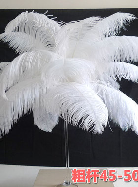 粗杆宽毛45到50cm白色鸵鸟羽毛 帽子服装裙子桌花路引配件辅料DIY