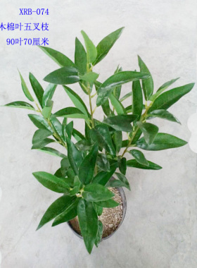 仿真植物立体5叉枝美丽异木棉叶灌木叶DIY博物馆居家装饰品直销