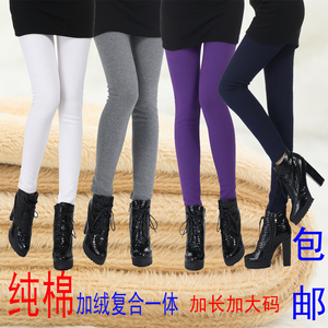 包邮 秋冬纯棉复合加绒一体裤加厚彩色打底裤女 加长加大码小脚裤