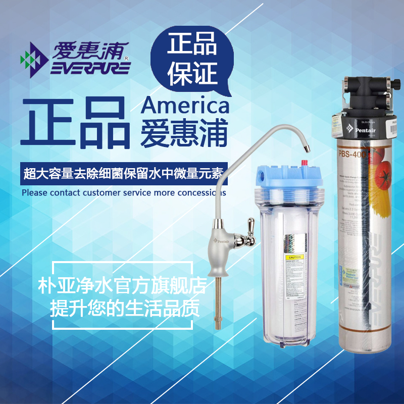 美国爱惠浦PBS400净水器 家用直饮净水机厨房过滤 净水器