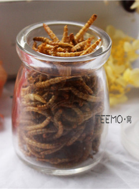 TEEMO·窝 仓鼠·松鼠零食 补充蛋白质面包虫干增肥佳品