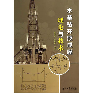 水基钻井液成膜理论与技术