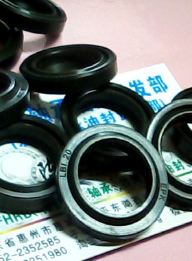 DHS LBH LBI 20 20*28*6 EPK进口墨绿色液压防尘油封内20外28高6