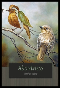 【预售】Aboutness