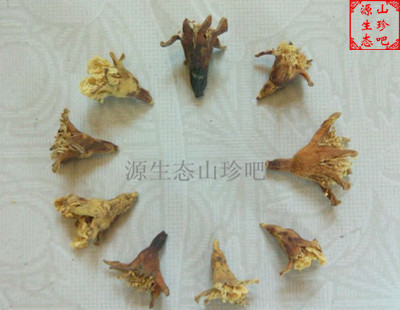 野生流鼻血红石榴