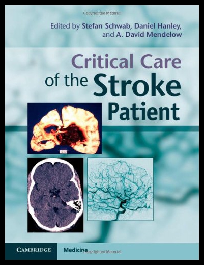 美国库房发货，通常付款后5-8周到货！