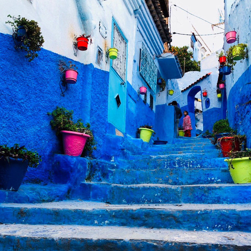 摩洛哥梦幻蓝色小镇舍夫沙万一日游西班牙清真寺猫的国度