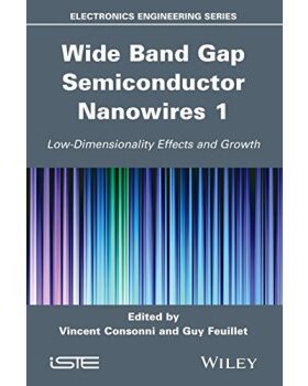【预售】Wide Band Gap Semiconductor Nanowires 1: Low-D...
