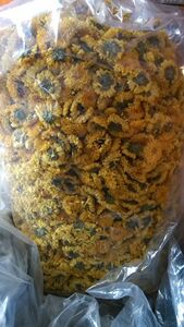 江西 散装婺源皇菊 晓起皇菊 菊花 食用菊花  菊花茶