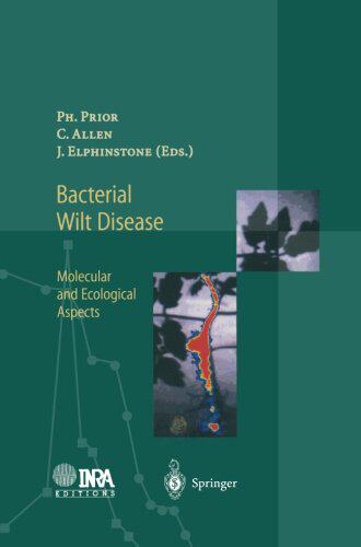 【预订】Bacterial Wilt Disease: Molecular an...