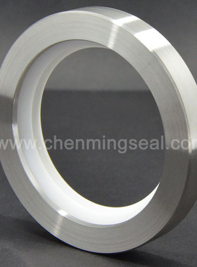 FDA食品级白色唇轴封 食品搅拌机不锈钢油封 高压高速旋转密封件