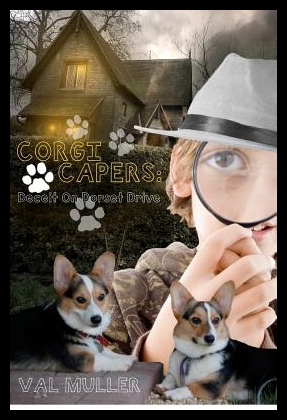 美国库房发货，通常付款后5-8周到货！