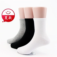 Vớ nam mùa xuân và mùa thu cotton thể thao màu trắng đen ống rắn 3 bé 5 học sinh 7 bé trai 9 bé lớn trẻ em vớ - Vớ đồ trẻ em