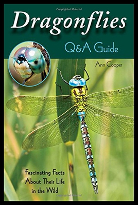 【预售】Dragonflies: Q&A Guide: Fascinating Facts about T